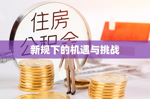 宝应新规下的机遇与挑战