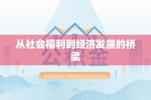 宝应从社会福利到经济发展的桥梁