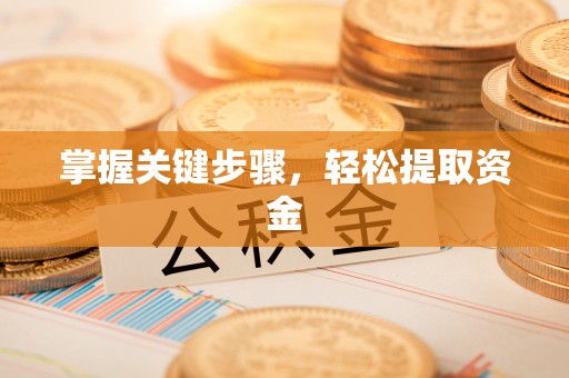 宝应掌握关键步骤，轻松提取资金