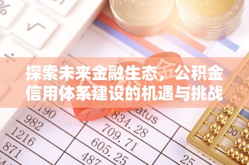 宝应探索未来金融生态，公积金信用体系建设的机遇与挑战