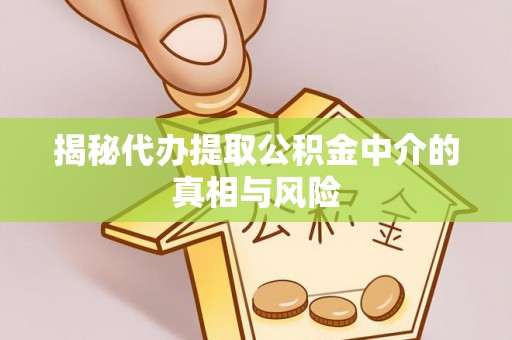 宝应揭秘代办提取公积金中介的真相与风险