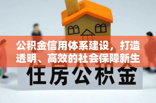 宝应公积金信用体系建设，打造透明、高效的社会保障新生态