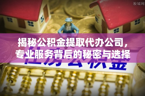宝应揭秘公积金提取代办公司，专业服务背后的秘密与选择指南
