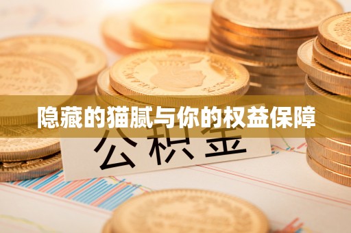 宝应隐藏的猫腻与你的权益保障