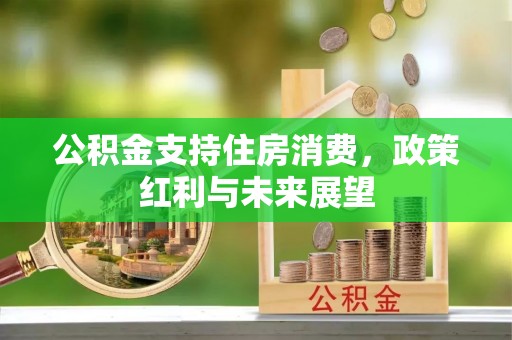 宝应公积金支持住房消费，政策红利与未来展望