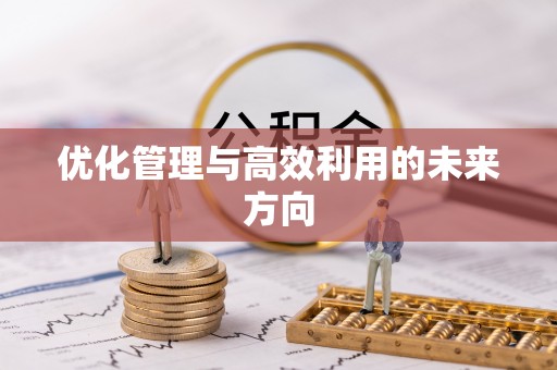 宝应优化管理与高效利用的未来方向
