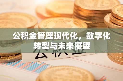 宝应公积金管理现代化，数字化转型与未来展望