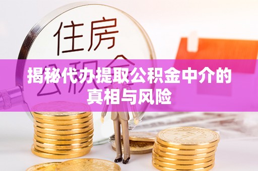 宝应揭秘代办提取公积金中介的真相与风险