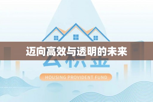 宝应迈向高效与透明的未来