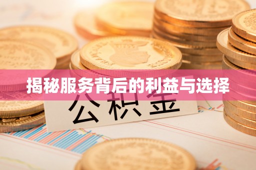 宝应揭秘服务背后的利益与选择