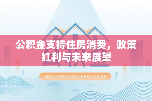 宝应公积金支持住房消费，政策红利与未来展望