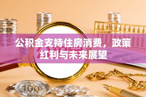 宝应公积金支持住房消费，政策红利与未来展望
