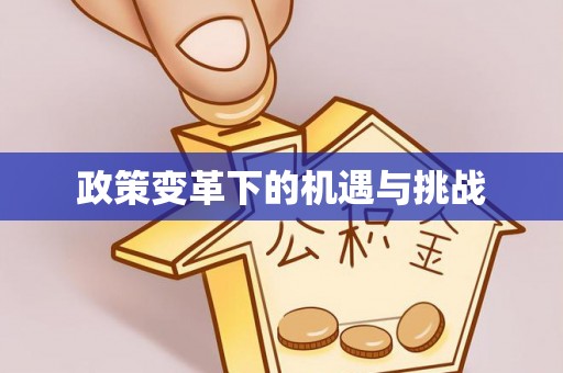 宝应政策变革下的机遇与挑战