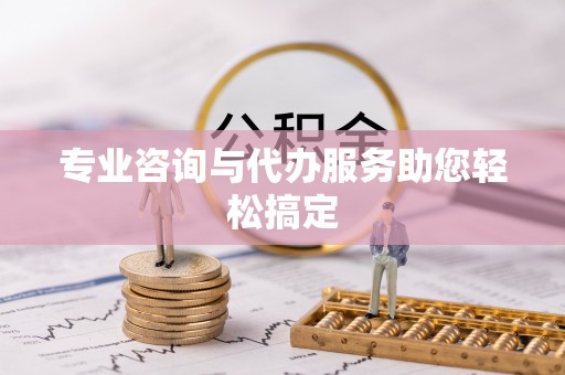 宝应专业咨询与代办服务助您轻松搞定