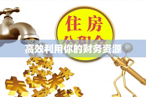 宝应高效利用你的财务资源