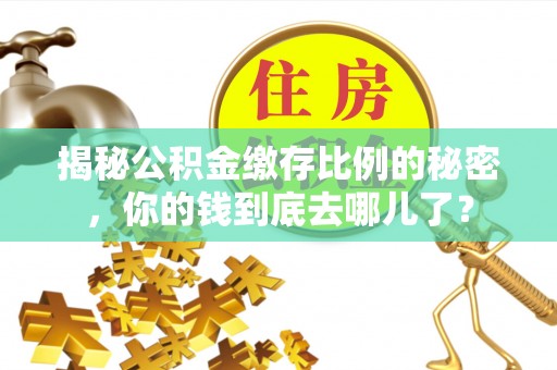 宝应揭秘公积金缴存比例的秘密，你的钱到底去哪儿了？