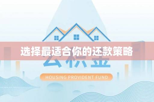 宝应选择最适合你的还款策略
