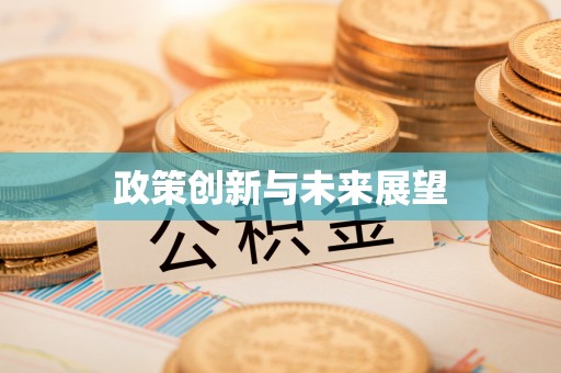 宝应政策创新与未来展望