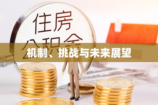 宝应机制、挑战与未来展望