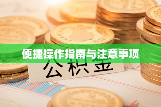 宝应便捷操作指南与注意事项